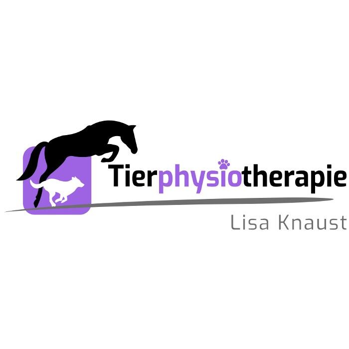 Bilder Tierphysiotherapie Lisa Knaust