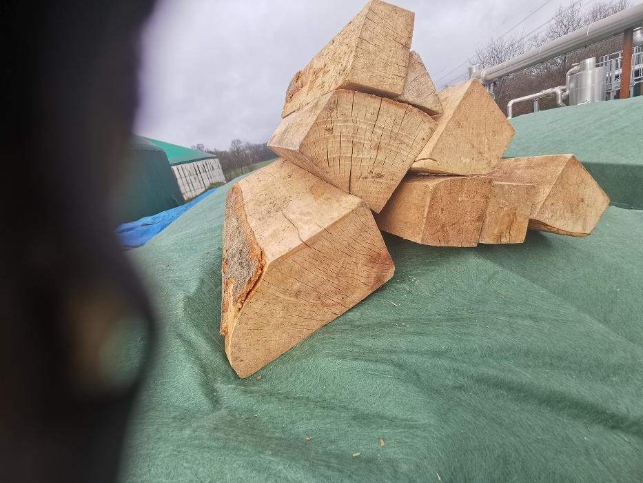 Bilder Brennholz Granz