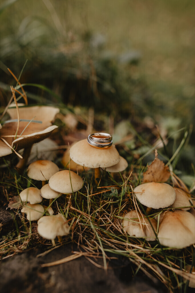 Bilder heartshapedbox photography - Hochzeitsreportagen & Portraits