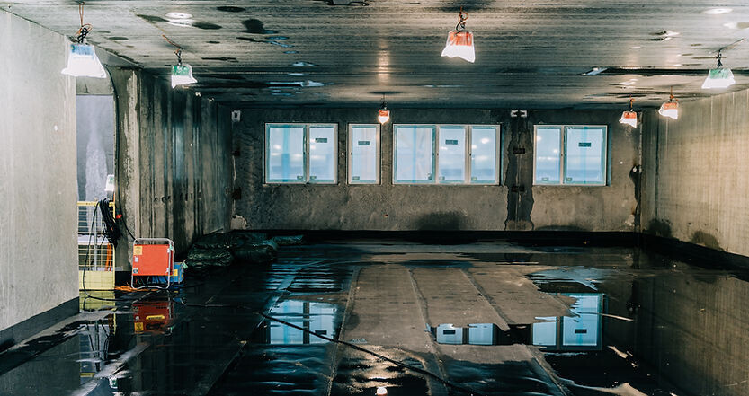 Bilder Mister Art UG (haftungsbeschränkt)