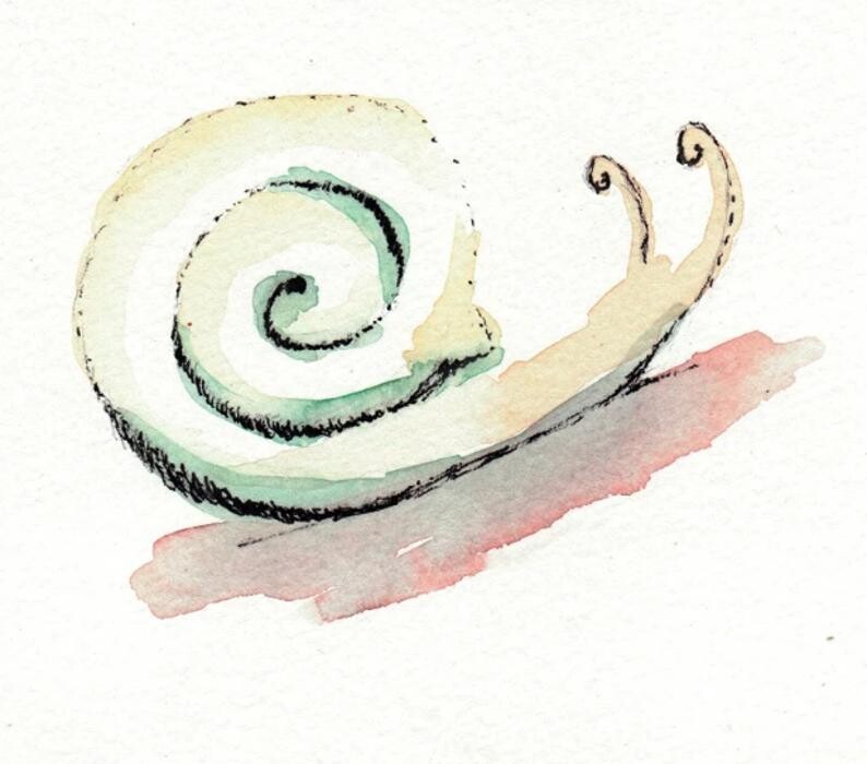 Caracol Logo