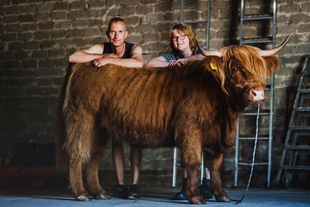 Bilder Hilgemeiers beef & more
