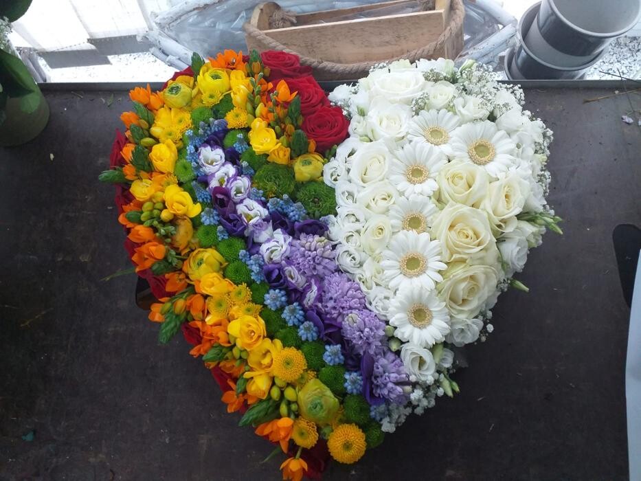 Bilder Blumen Dahlmann