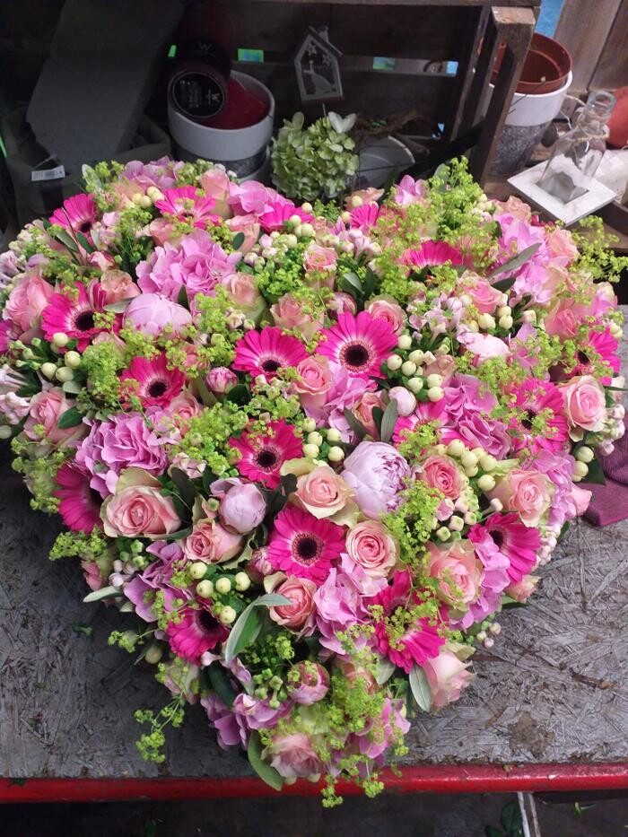Bilder Blumen Dahlmann