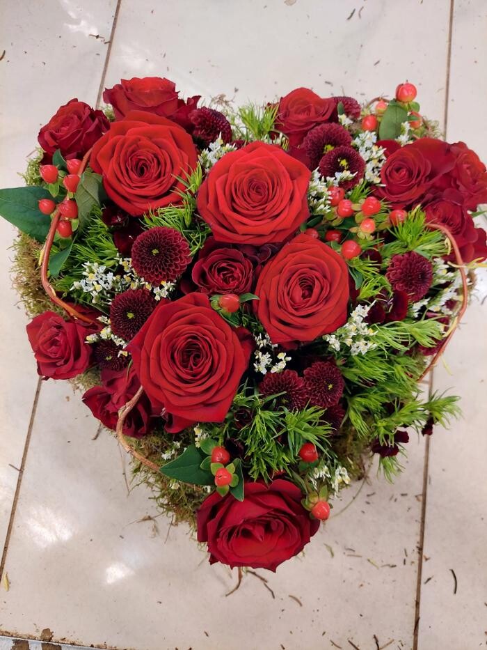 Bilder Blumen Dahlmann