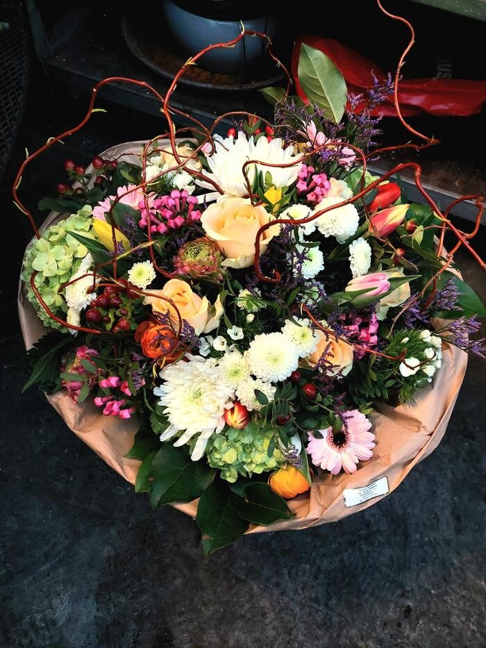 Bilder Blumen Dahlmann