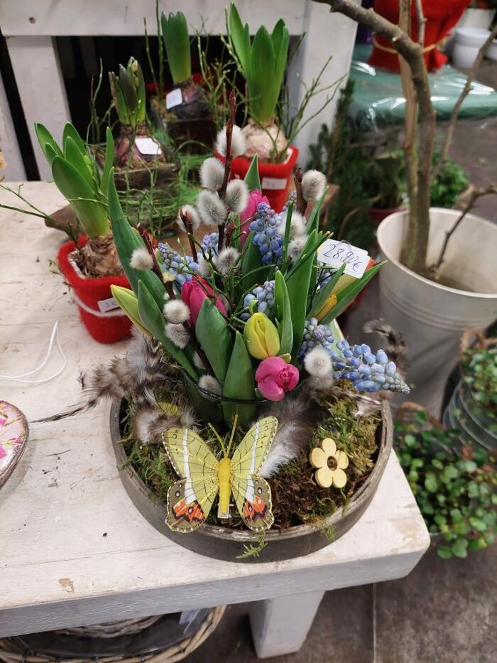 Bilder Blumen Dahlmann