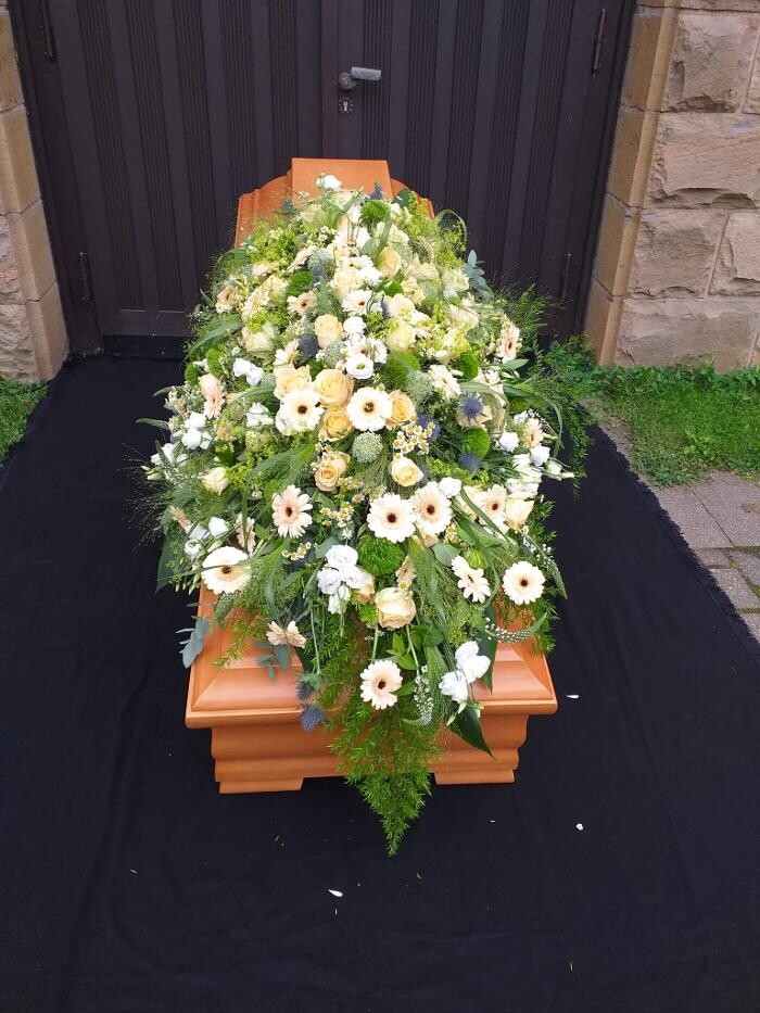 Bilder Blumen Dahlmann