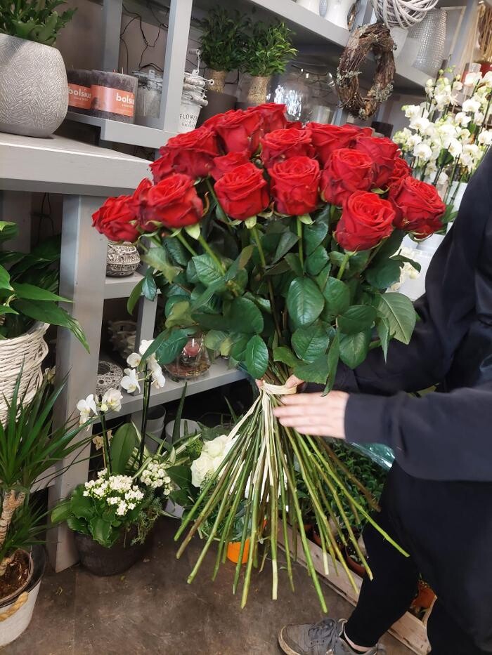 Bilder Blumen Dahlmann