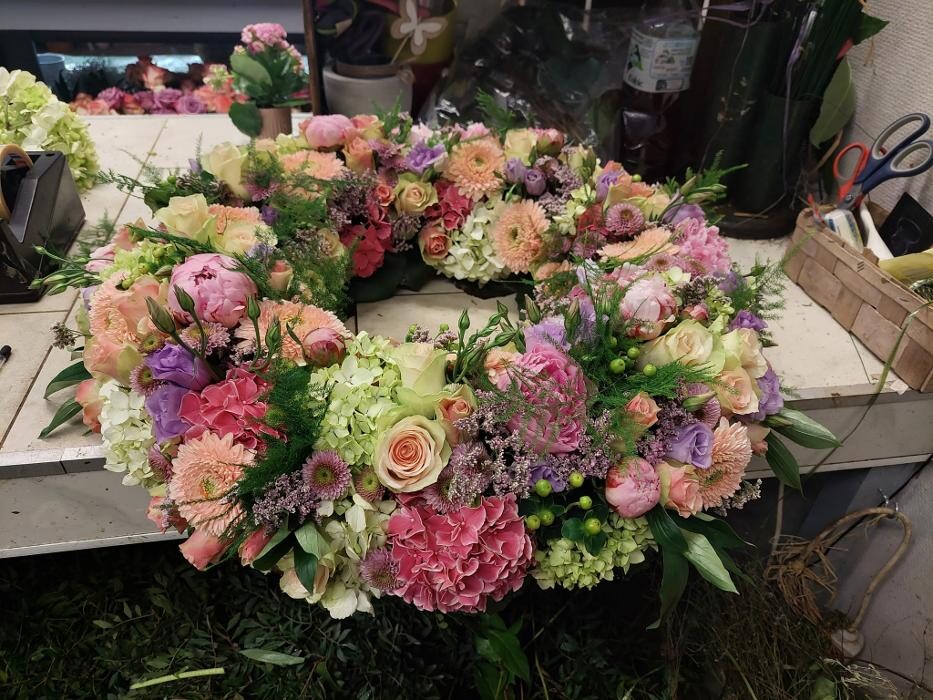 Bilder Blumen Dahlmann