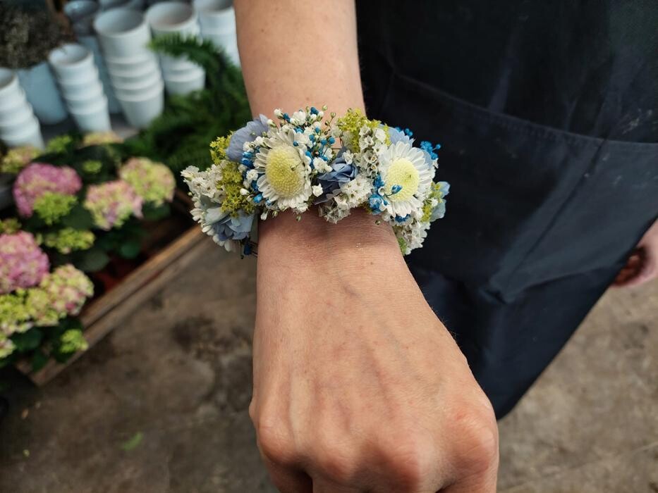 Bilder Blumen Dahlmann