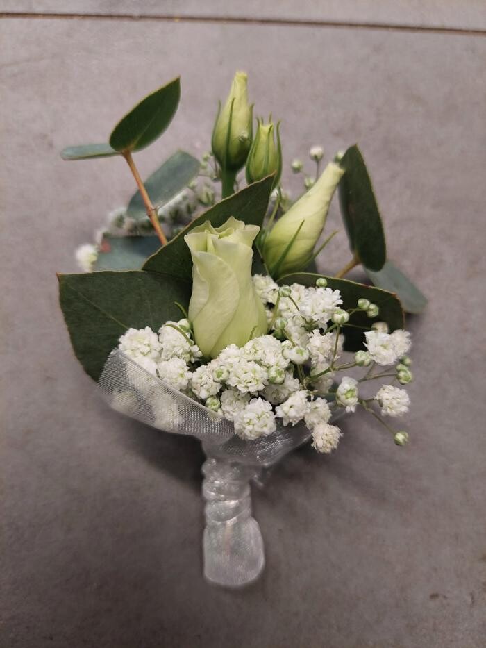 Bilder Blumen Dahlmann