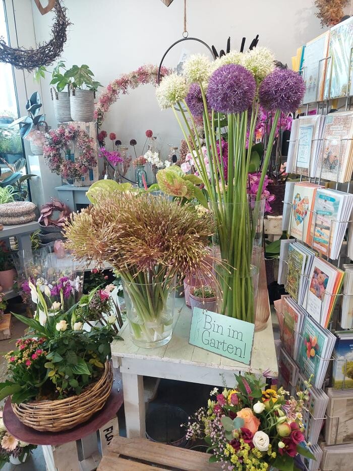 Bilder Blumen Dahlmann