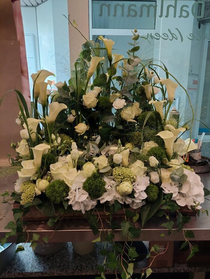 Bilder Blumen Dahlmann