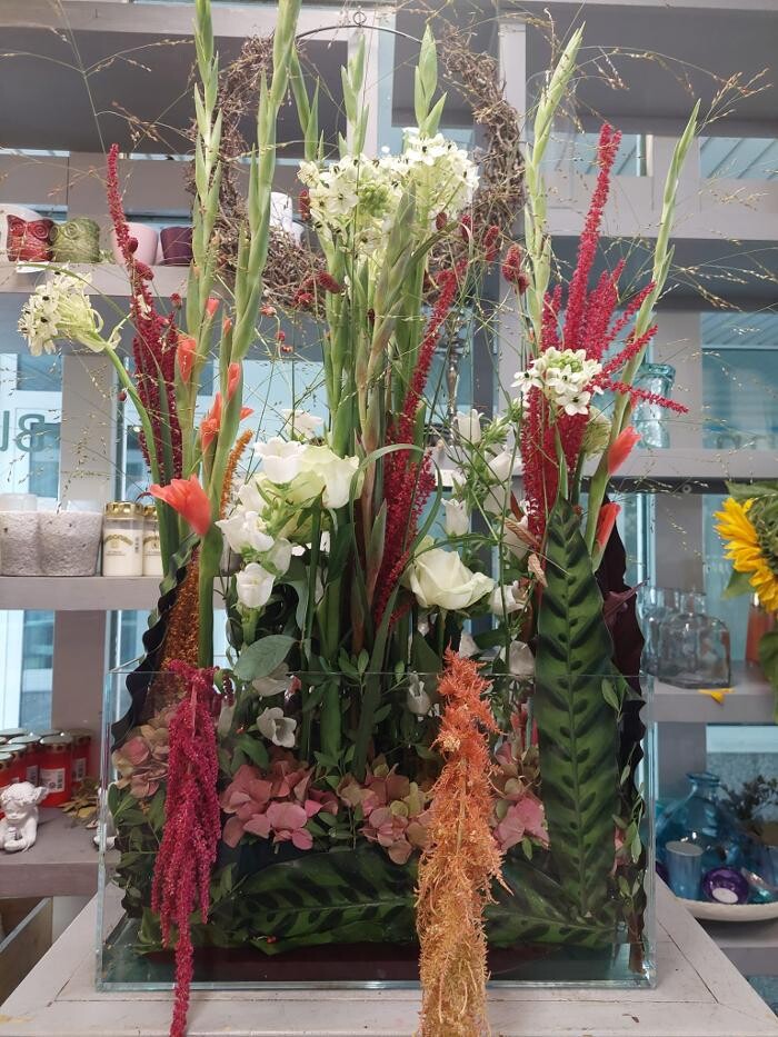 Bilder Blumen Dahlmann