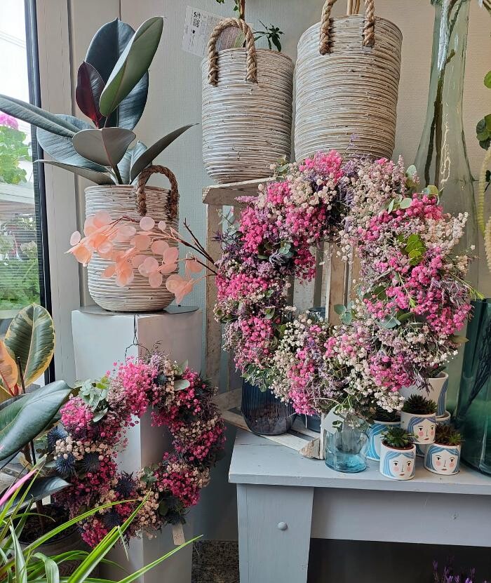 Bilder Blumen Dahlmann