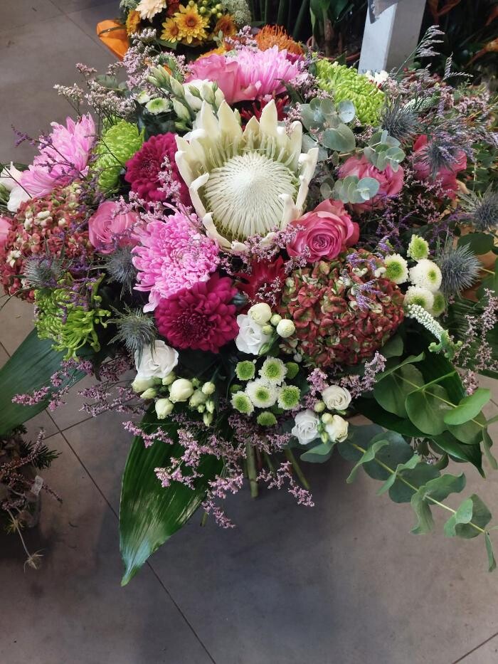 Bilder Blumen Dahlmann