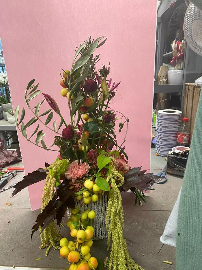 Bilder Blumen Dahlmann