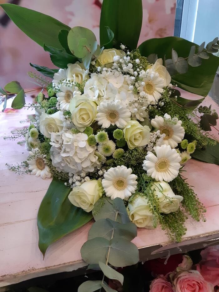 Bilder Blumen Dahlmann