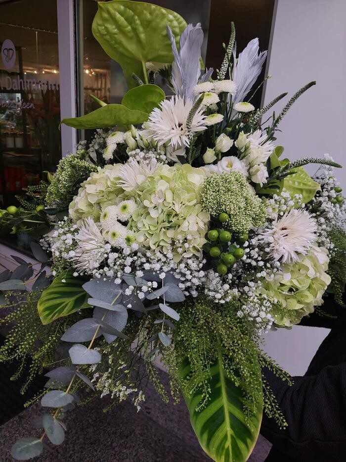 Bilder Blumen Dahlmann