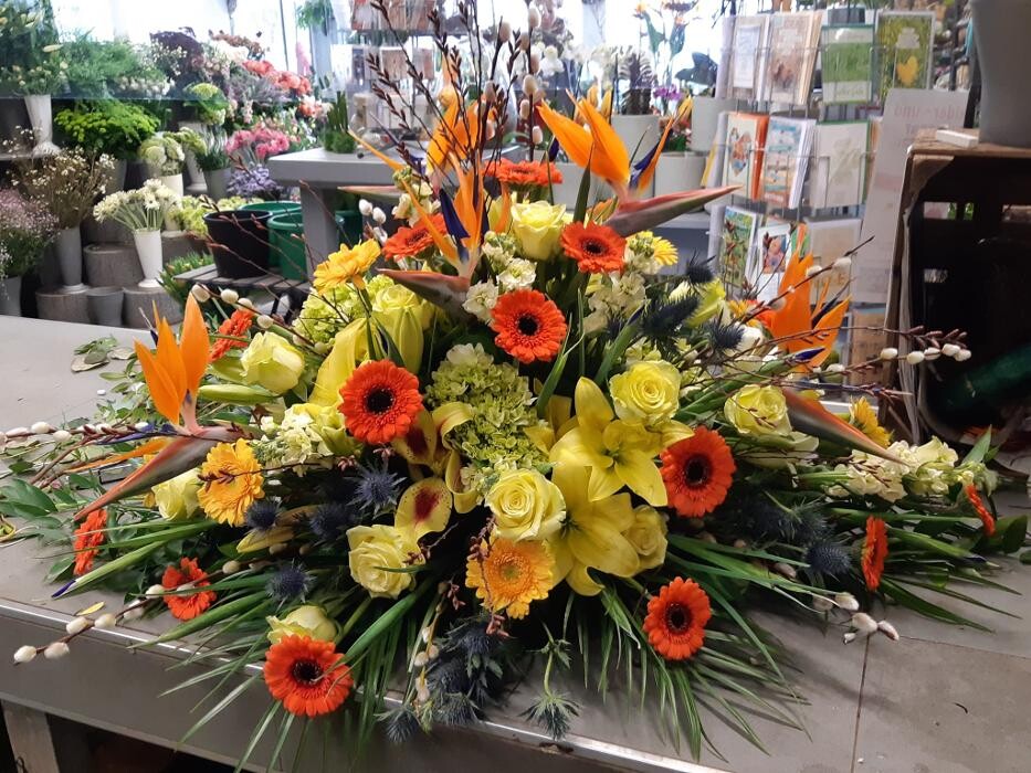 Bilder Blumen Dahlmann