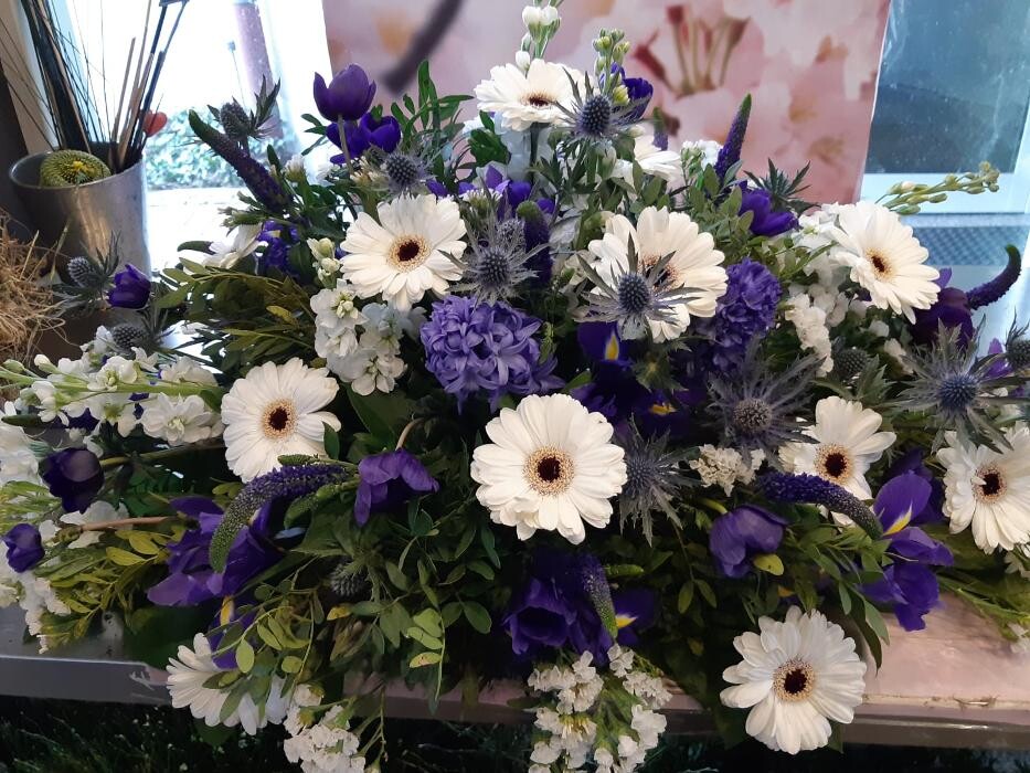 Bilder Blumen Dahlmann