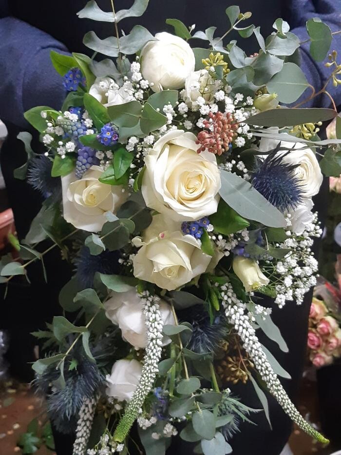 Bilder Blumen Dahlmann