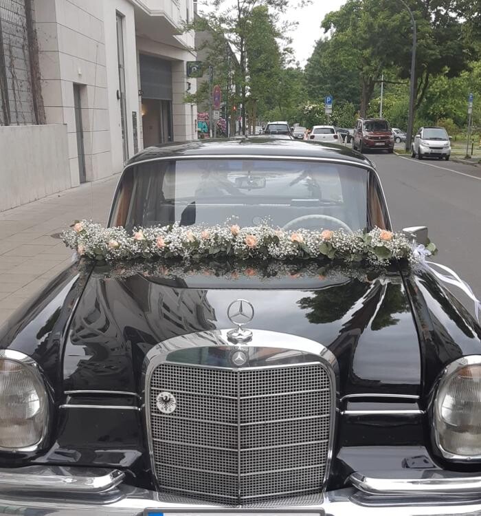 Bilder Blumen Dahlmann