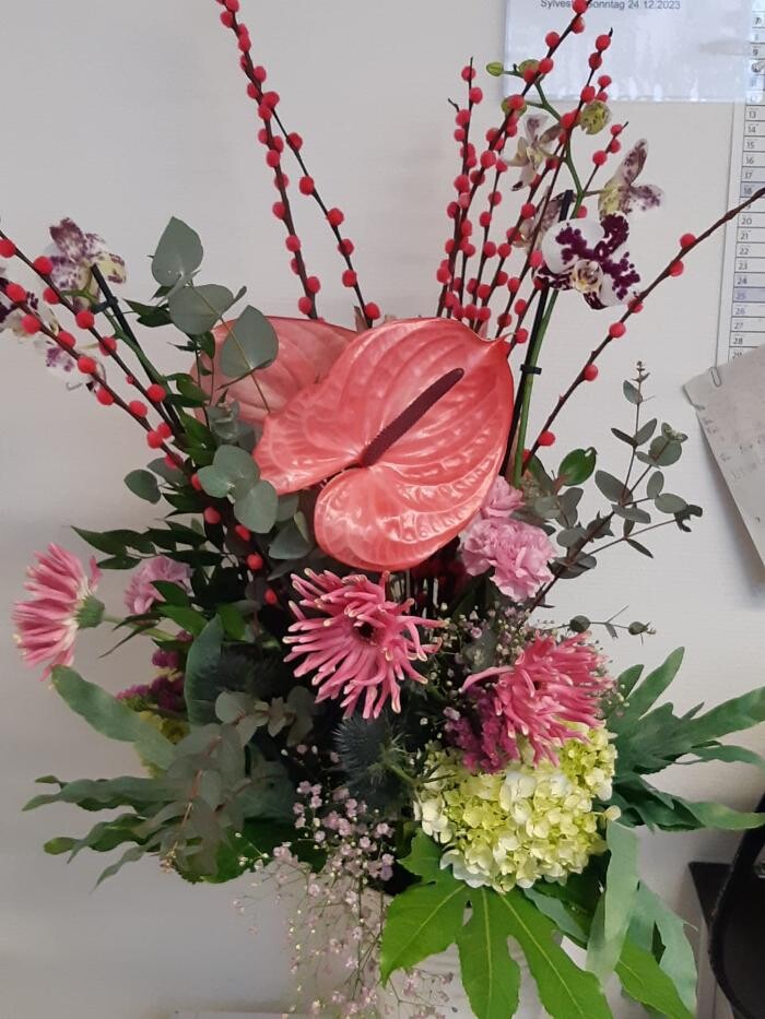 Bilder Blumen Dahlmann
