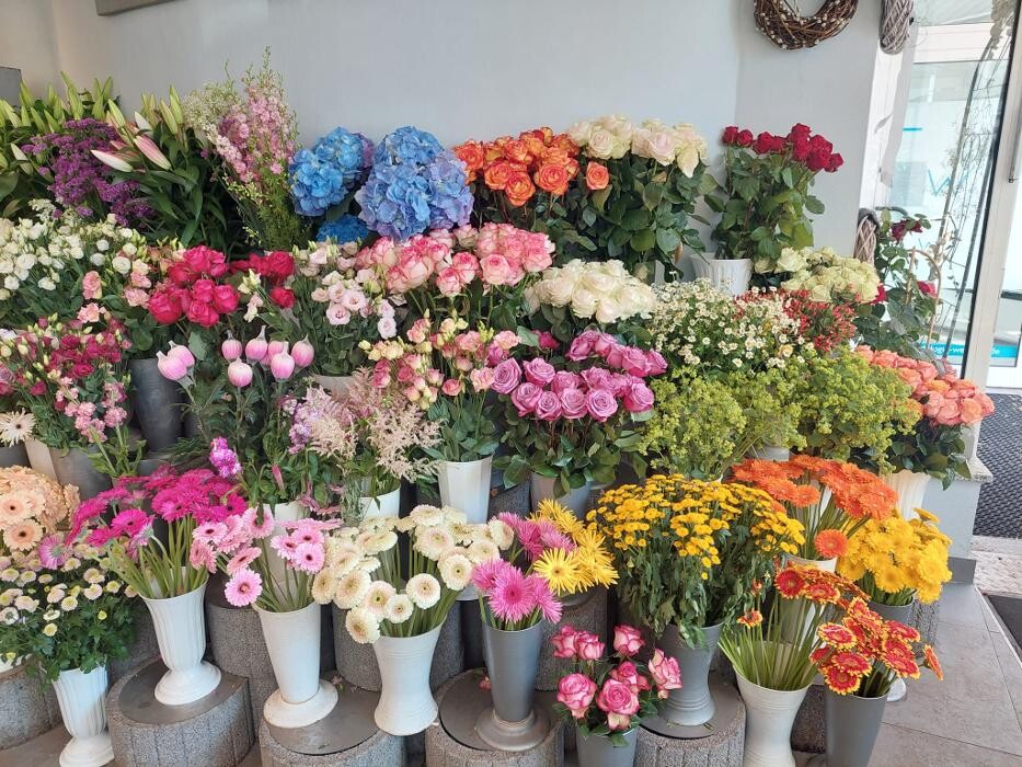 Bilder Blumen Dahlmann