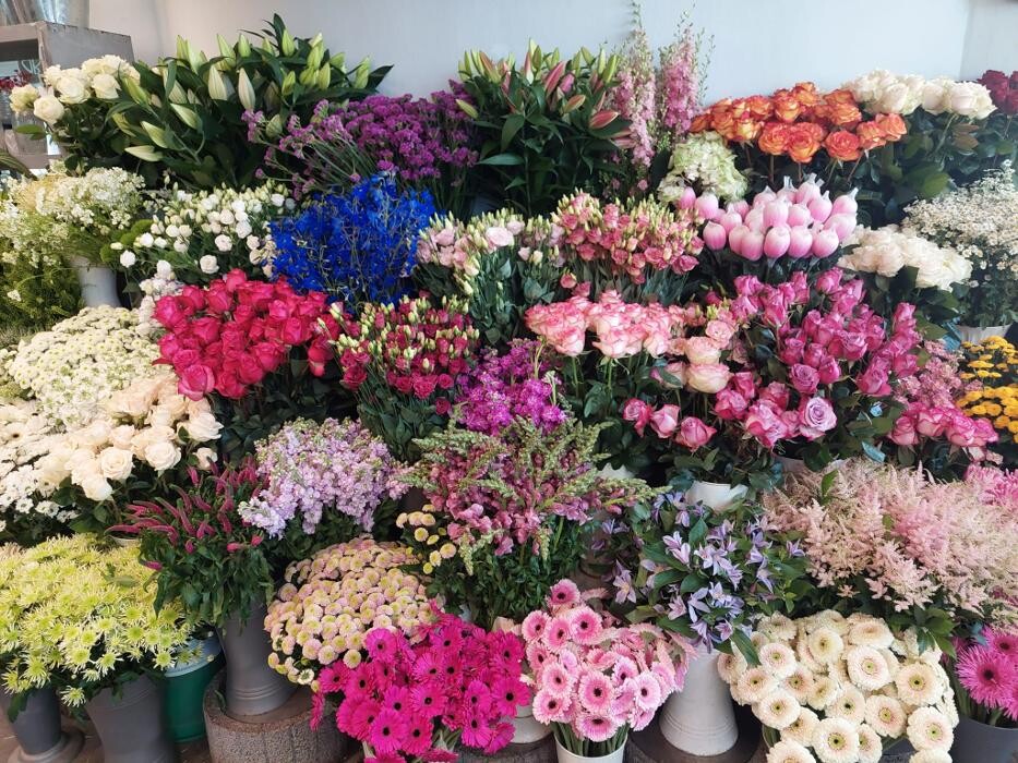 Bilder Blumen Dahlmann