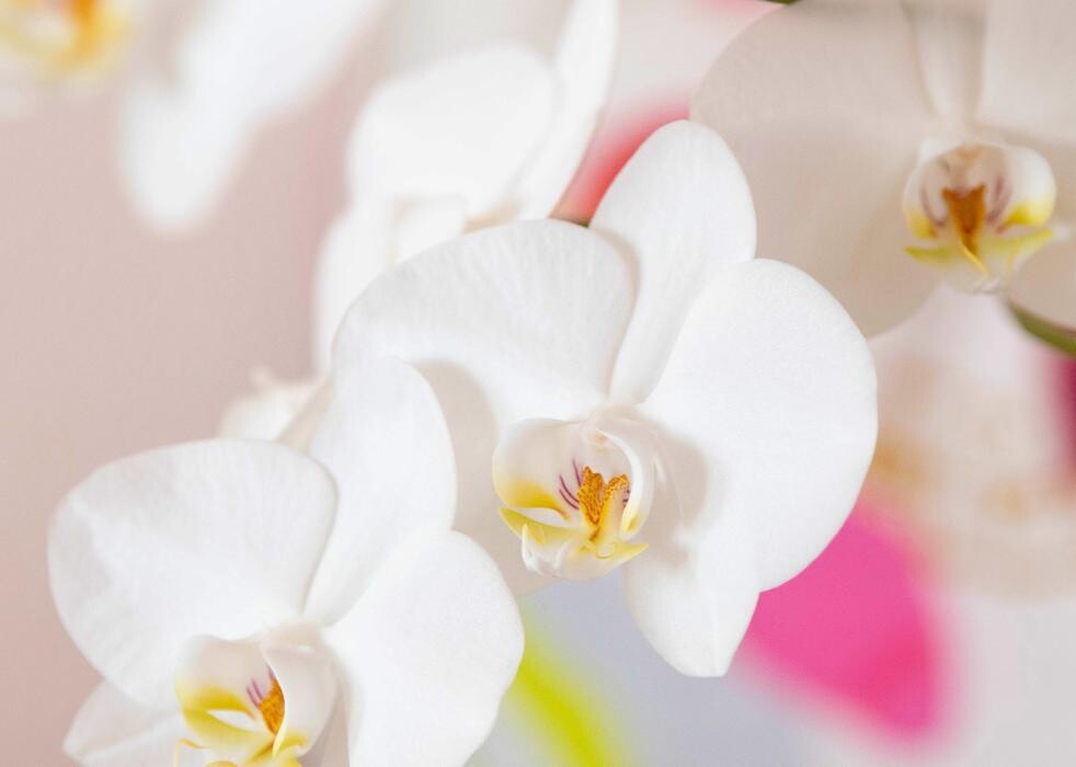 Bilder Hanne Kuchling Psychologische Beratung & Personal Coaching