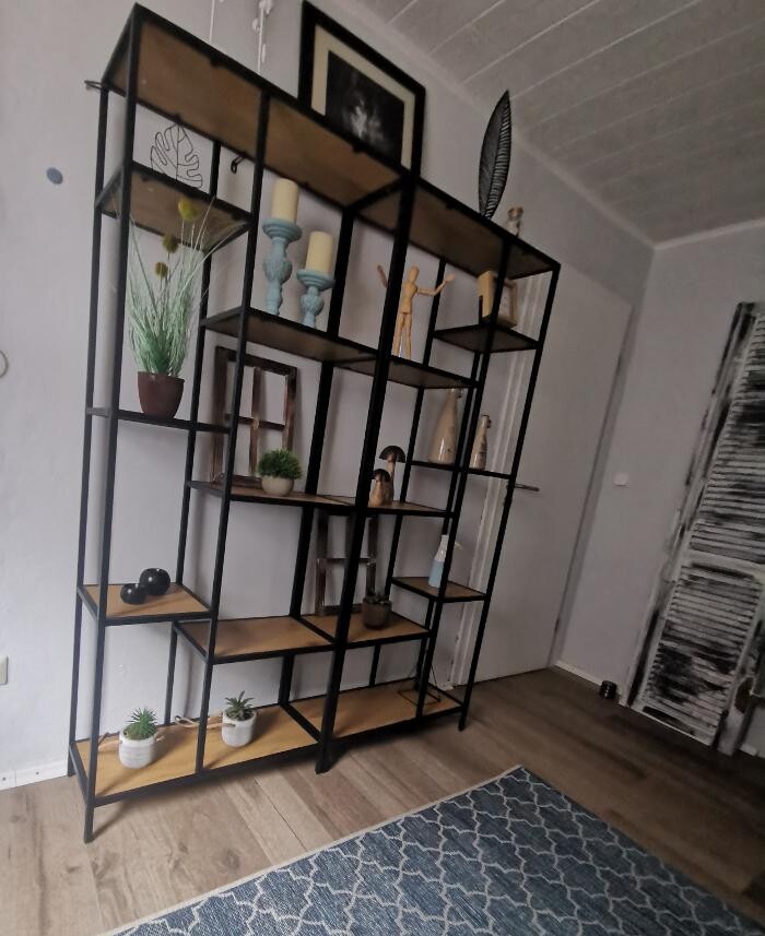 Bilder H.O.N.A.S - Mobile Hundeschule