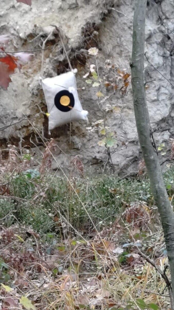 Bilder Bogensport vor Ort