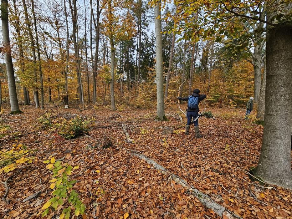 Bilder Bogensport vor Ort