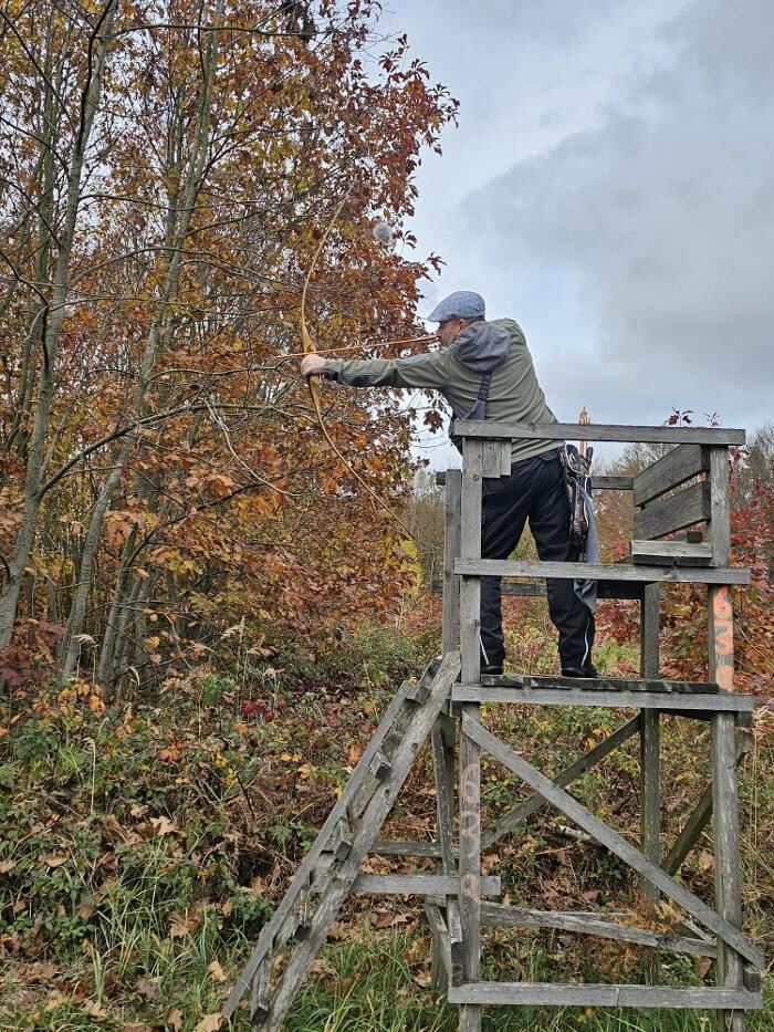 Bilder Bogensport vor Ort