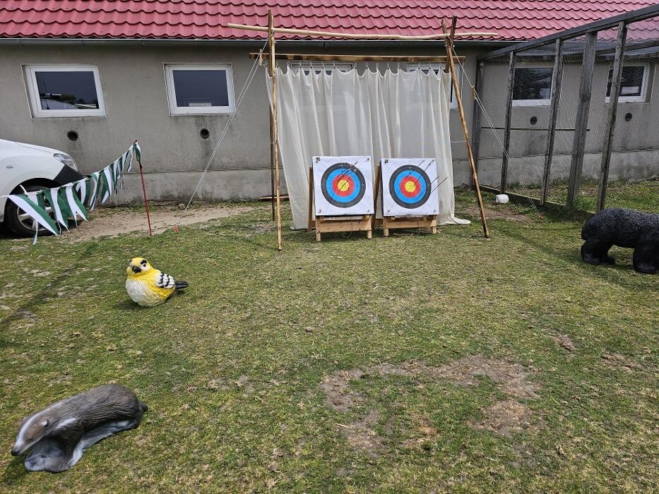 Bilder Bogensport vor Ort