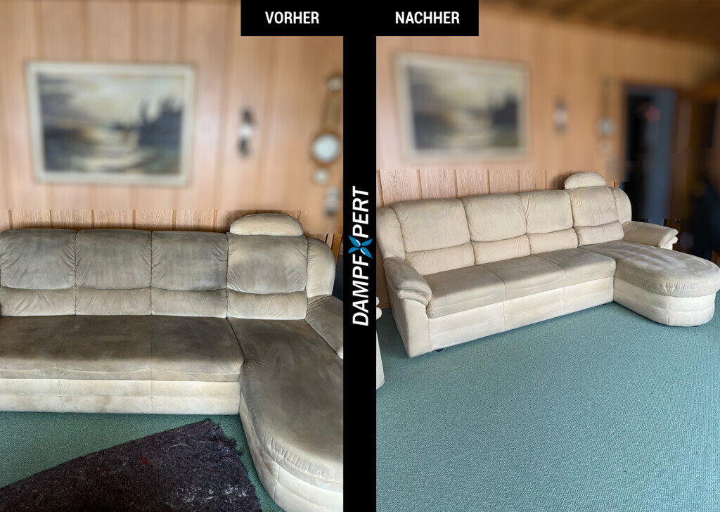 Bilder DampfXpert Reinigung & Desinfektion