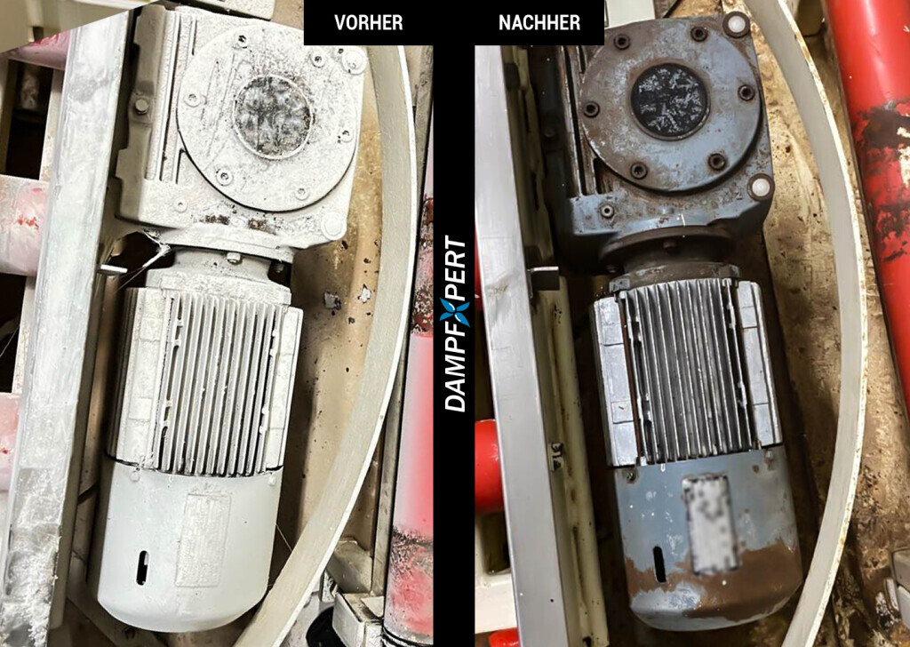 Bilder DampfXpert Reinigung & Desinfektion