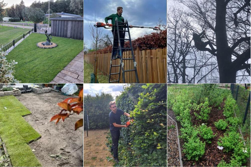 Bilder BSG Baumpflege Service Gärtner