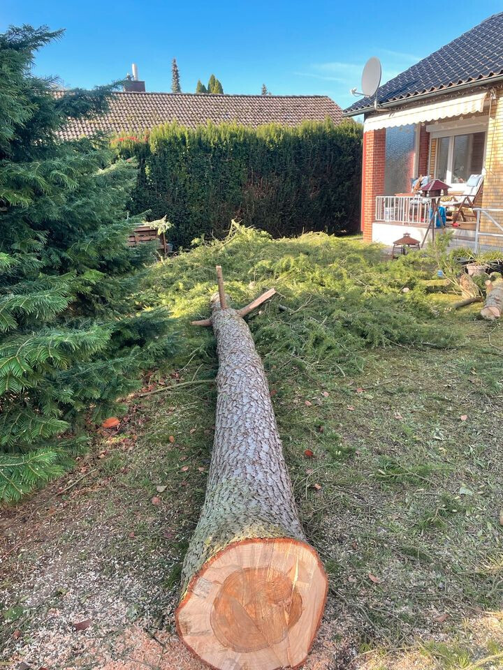 Bilder BSG Baumpflege Service Gärtner