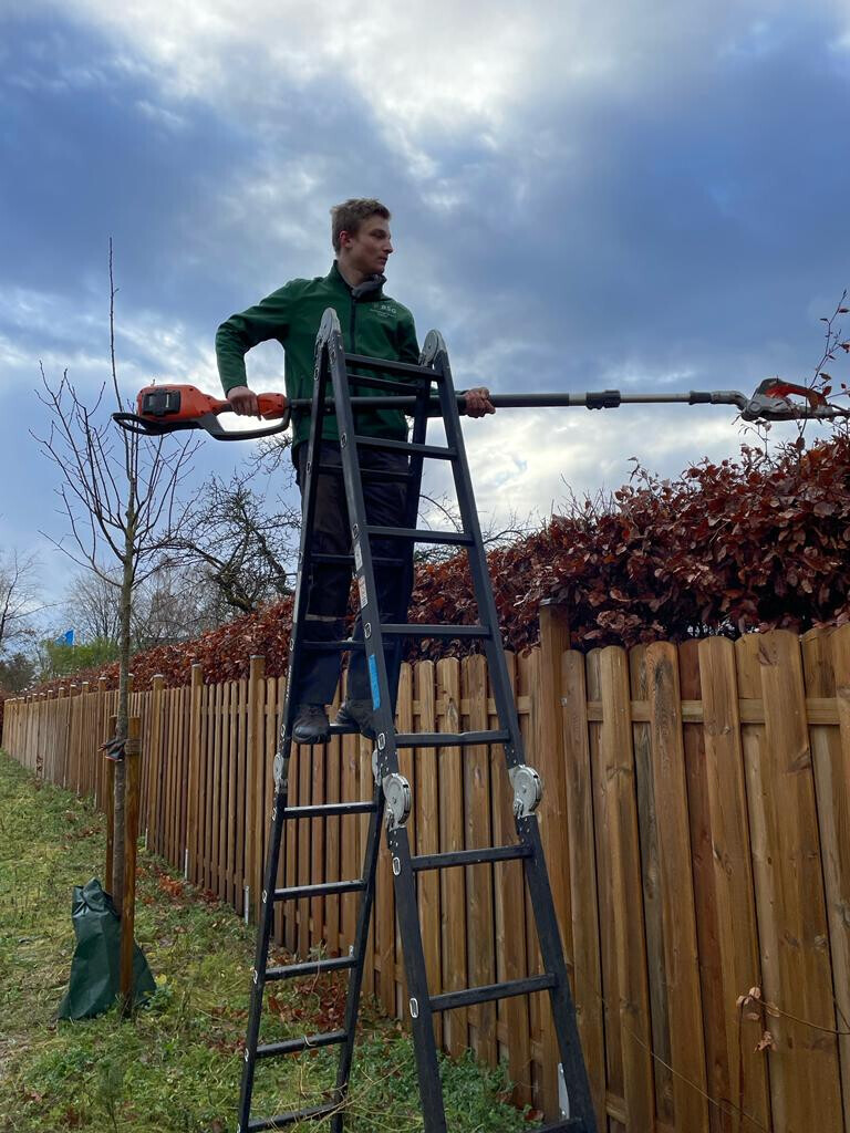 Bilder BSG Baumpflege Service Gärtner
