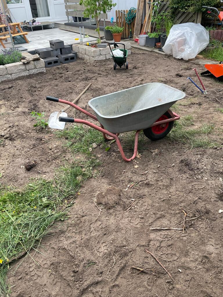 Bilder BSG Baumpflege Service Gärtner