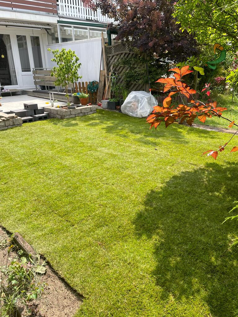 Bilder BSG Baumpflege Service Gärtner