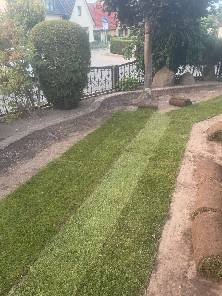 Bilder BSG Baumpflege Service Gärtner