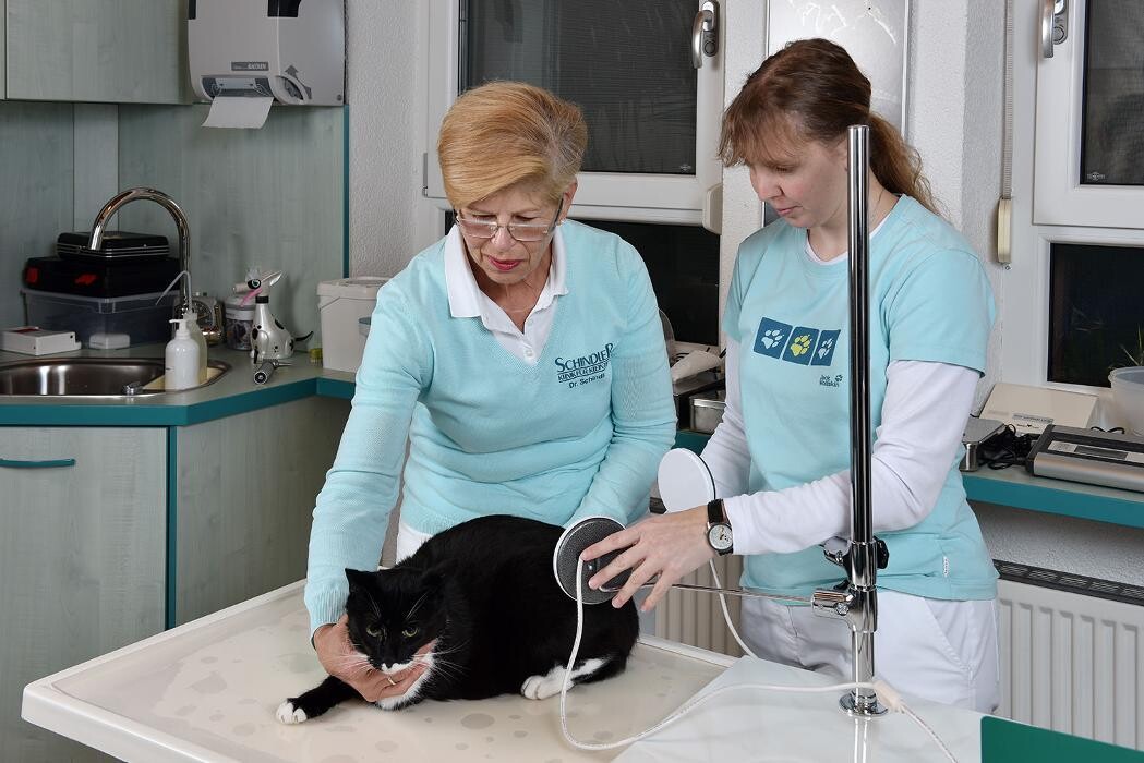 Bilder Dr. med. vet. Schindler Tierärztliche Fachpraxis