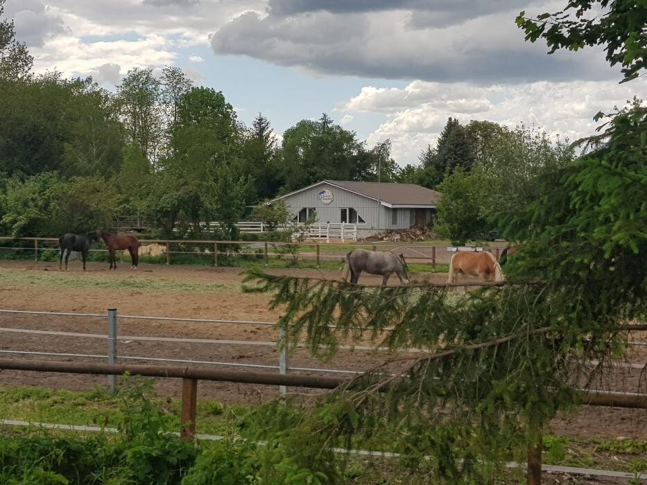 Bilder Reitstall Huschke