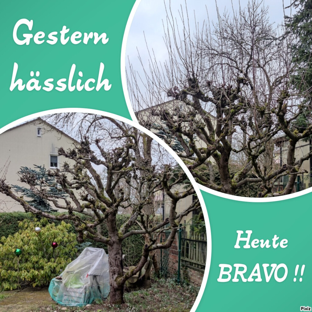 Bilder BRAVO Coburg Manuel Brandt's Vollservice