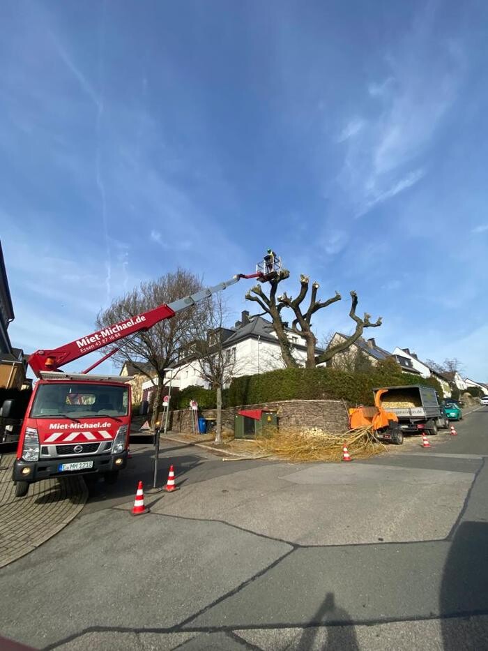 Bilder Miet-Michael Baumaschinenverleih