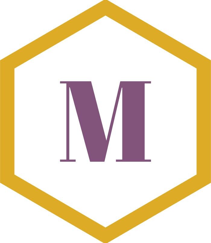 MiNeMi_s Logo